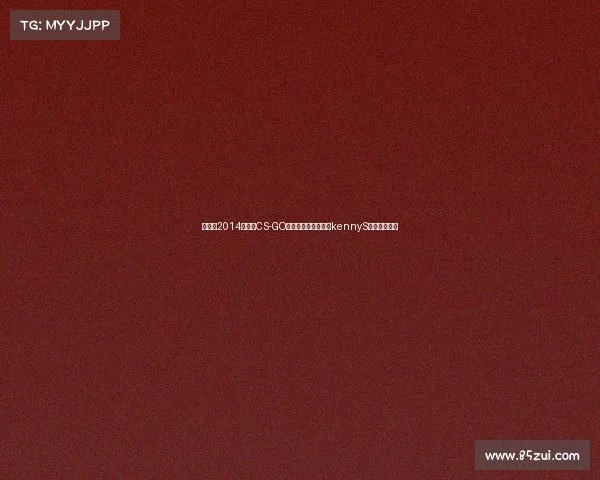 《重返2014：见证CS-GO战术革新与狙击之神kennyS的封神之年》